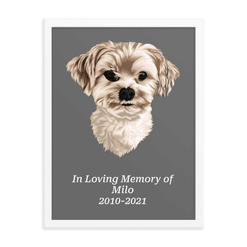 Custom One Pet Memorial Portrait